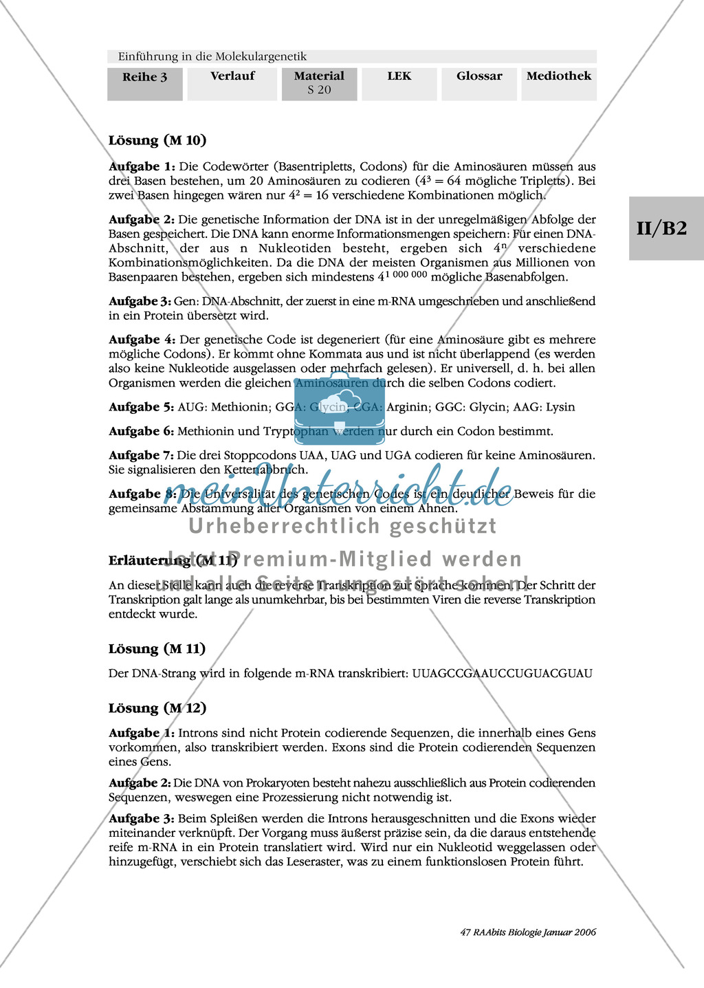 Die Proteinbiosynthese - RNA, genetischer Code, Transkription und Translation Preview 9