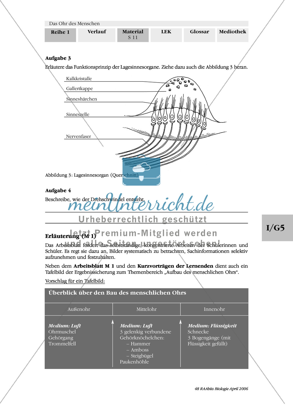 Lage- und Drehsinn: Gleichgewichtssinn: Beschriften Preview 2