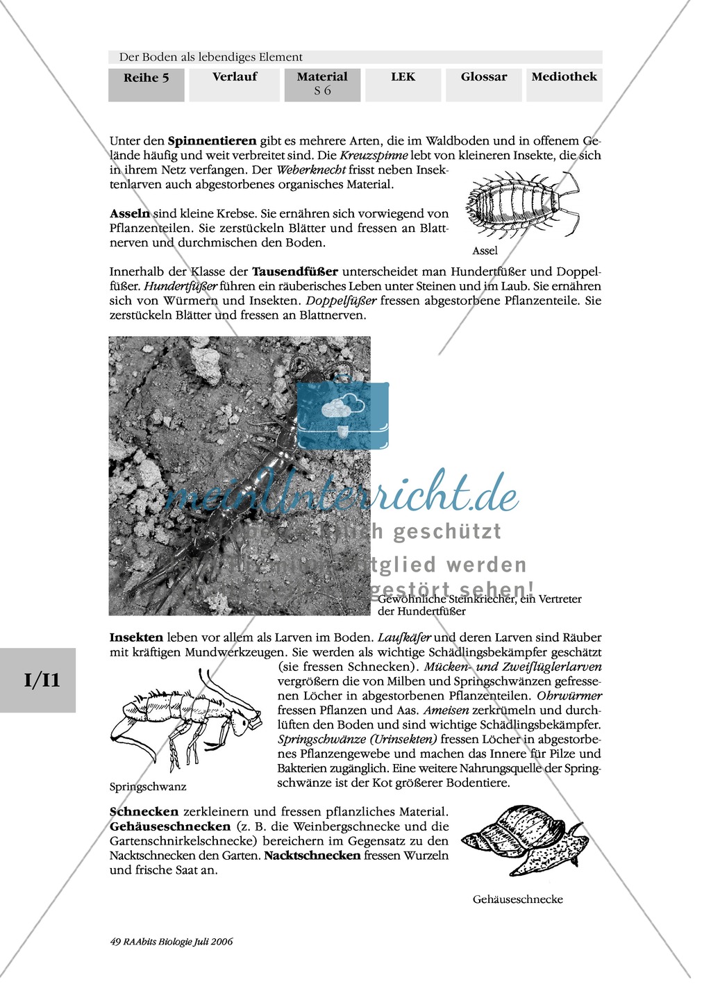 Entstehung und Zusammensetzung des Bodens Preview 5