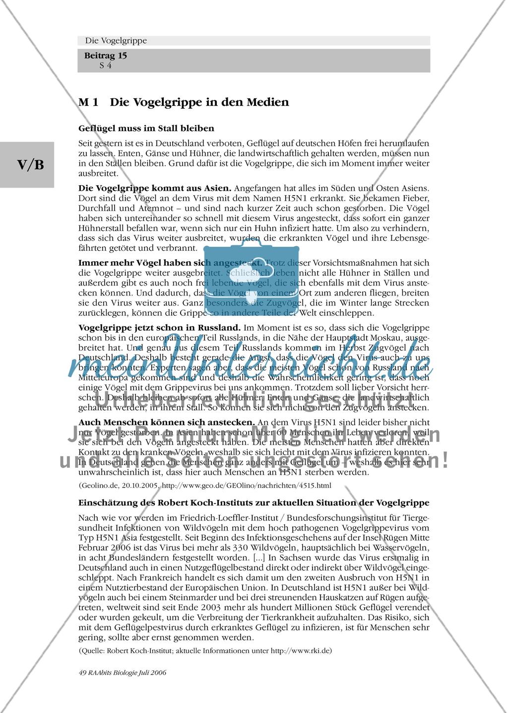 Die Vogelgrippe – Darstellung in den Medien und Wissensgrundlagen Preview 1