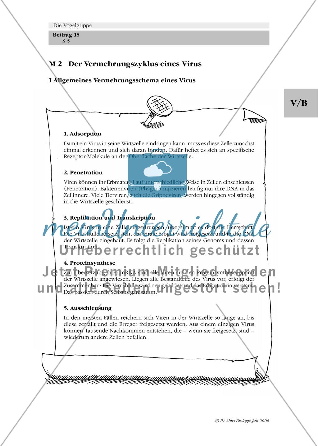 Die Vogelgrippe – Darstellung in den Medien und Wissensgrundlagen Preview 2