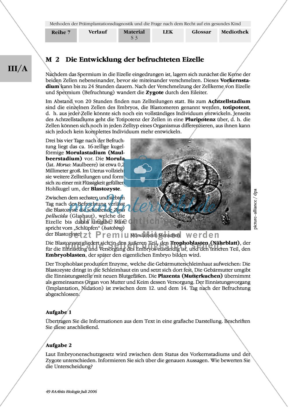 Text zur Entwicklung der befruchteten Eizelle und Gruppenpuzzle zur Präimplantationsdiagnostik und Pränataldiagnostik Preview 1
