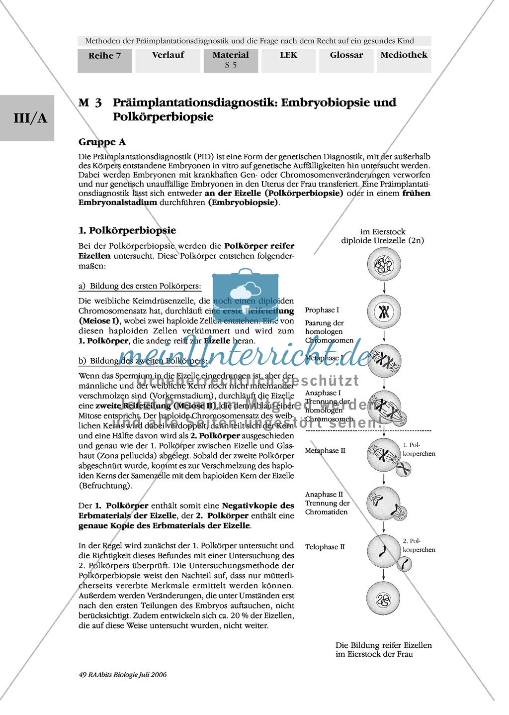 Text zur Entwicklung der befruchteten Eizelle und Gruppenpuzzle zur Präimplantationsdiagnostik und Pränataldiagnostik Preview 3
