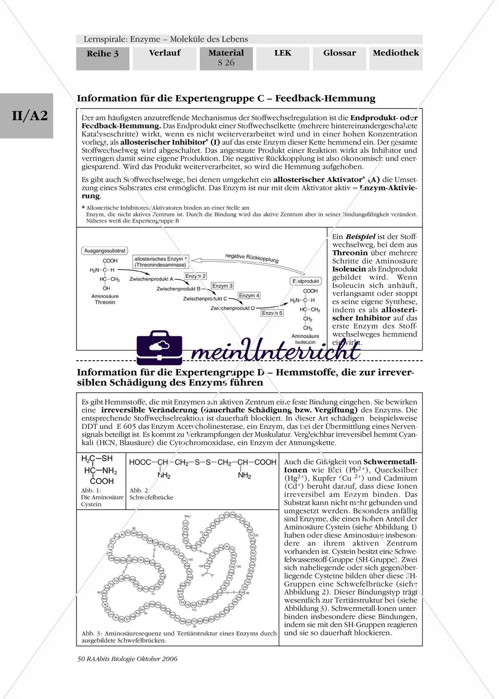 Arbeitsinsel 7: Stoffwechselregulation Preview 4