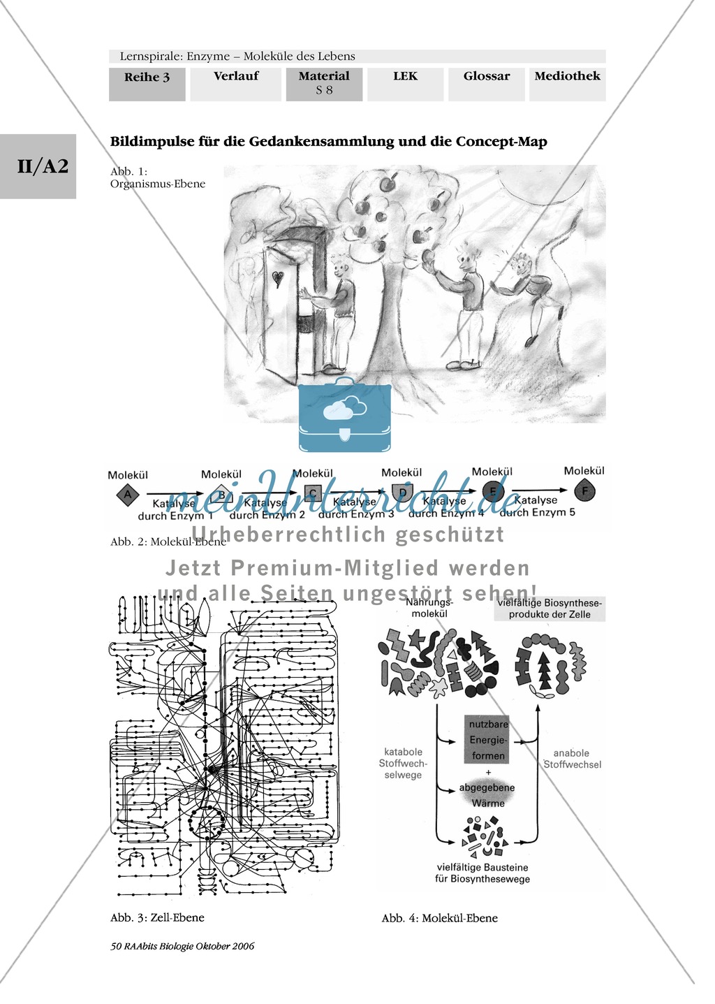 Enzyme: Arbeitsinseln zu den Themen Stoffwechsel, Enzymreaktionen, Hemmstoffe, Cofaktoren, Regulation Preview 2