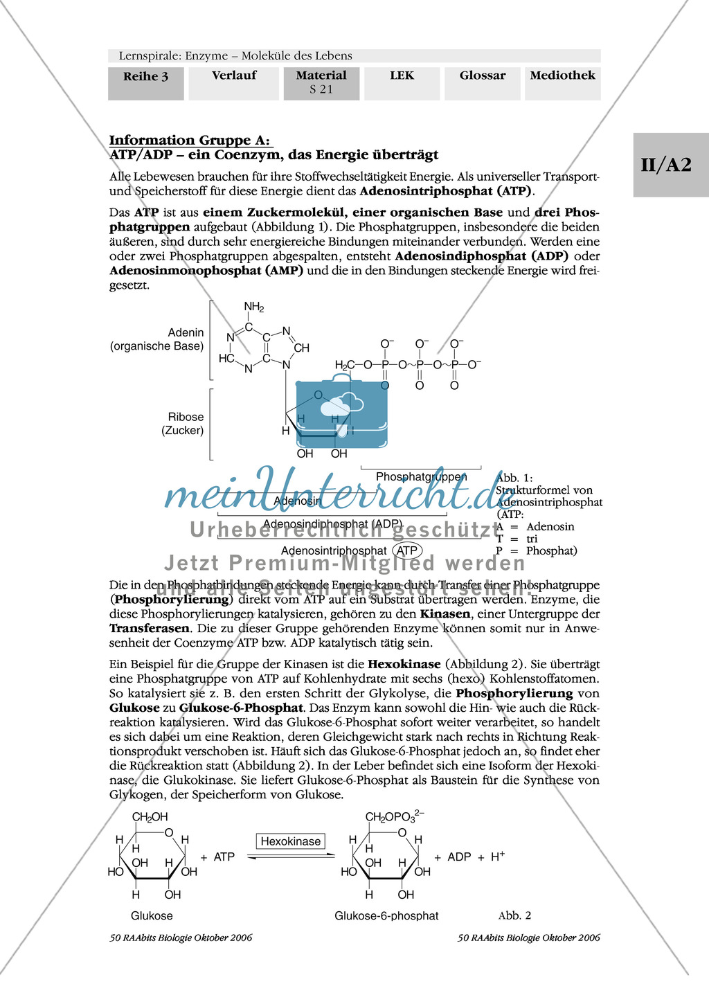 Cofaktoren für enzymatische Reaktionen: Exzerpierendes Lesen, Spickzettel, Kugellager Preview 4