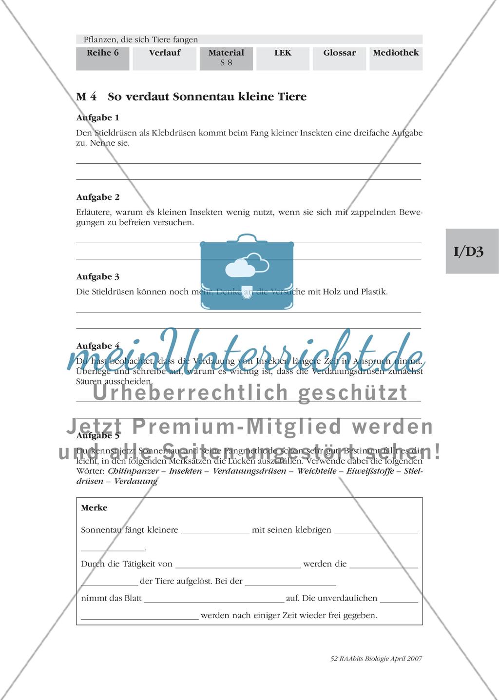 Sonnentau klebt kleine Tiere fest Preview 1