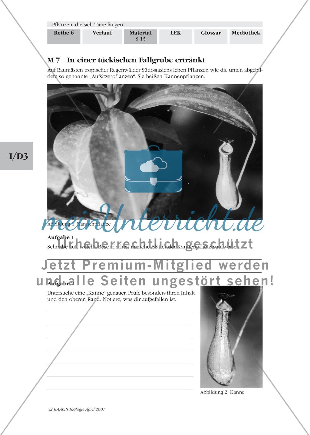 Eine Pflanze lockt Tiere in eine Kesselfalle Preview 1