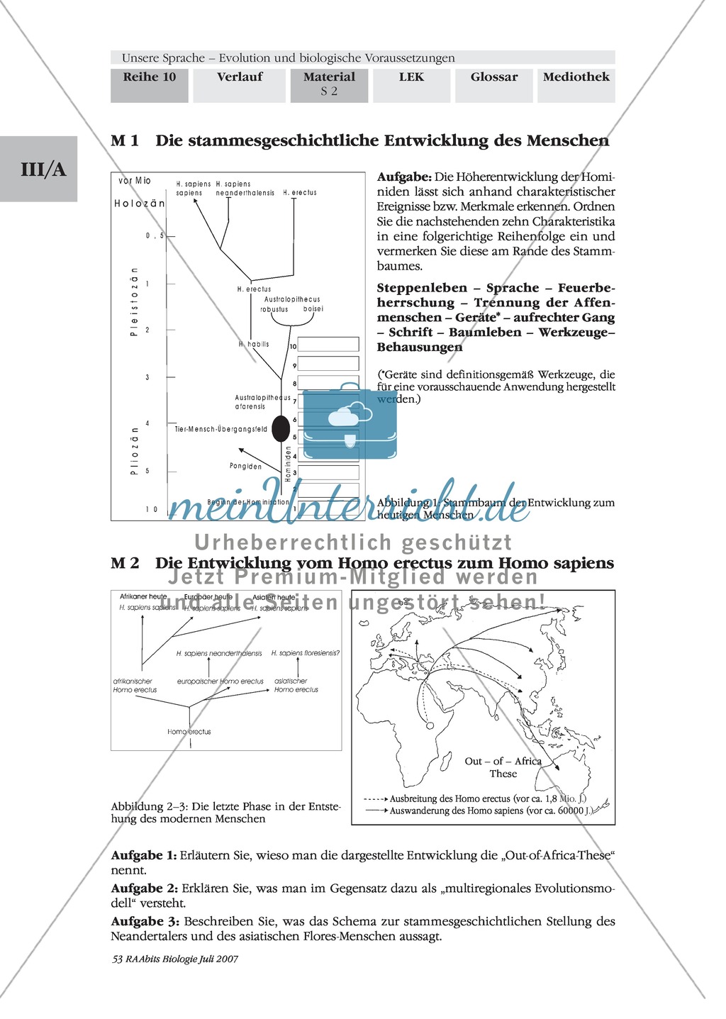 Sprachevolution: Der Weg der Hominisation Preview 1