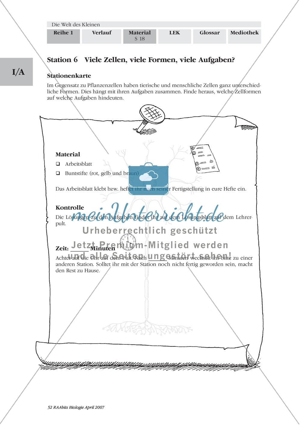 Stationenlernen Mikroskopie: Preview 17