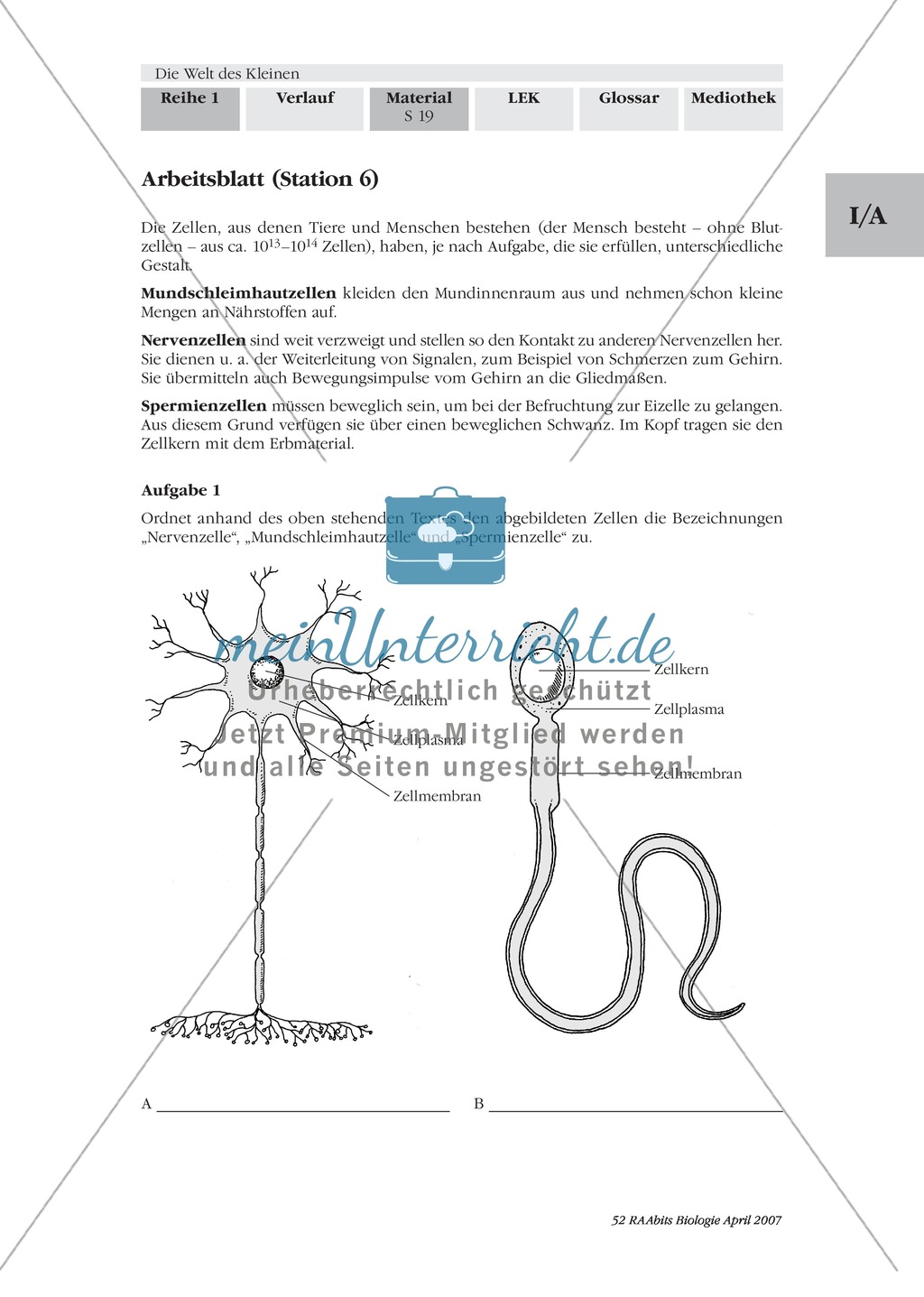 Stationenlernen Mikroskopie: Preview 18