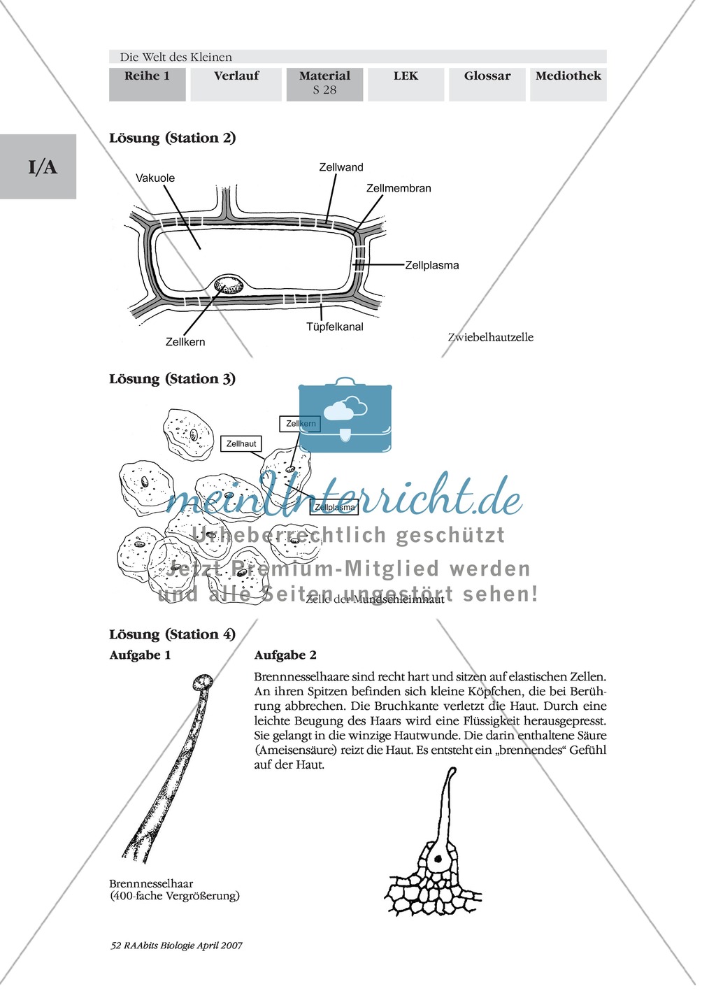 Stationenlernen Mikroskopie: Preview 24