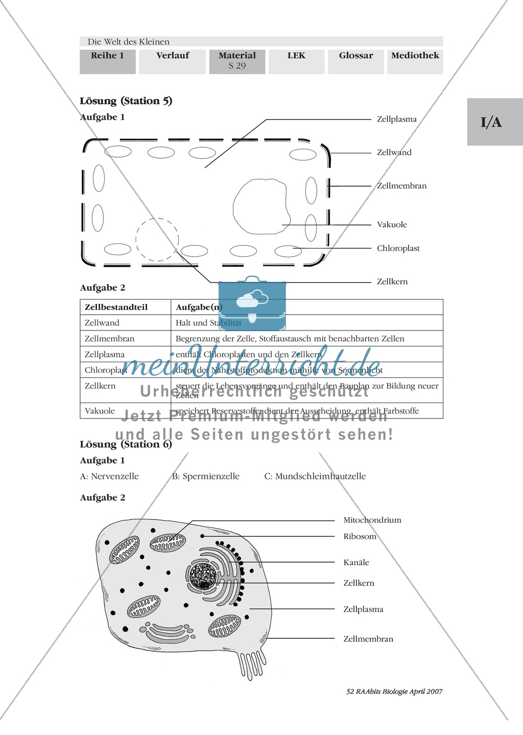 Mikroskopie: Unterschiede in Form und Aufgabe verschiedener tierischer Zellen: Beschriften Preview 5