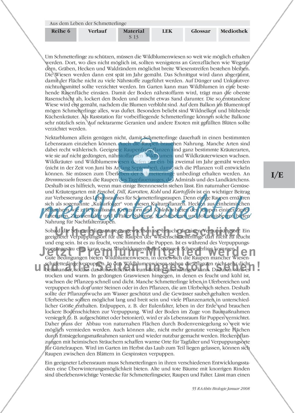 Gefährdung und Schutz der Schmetterlinge Preview 2