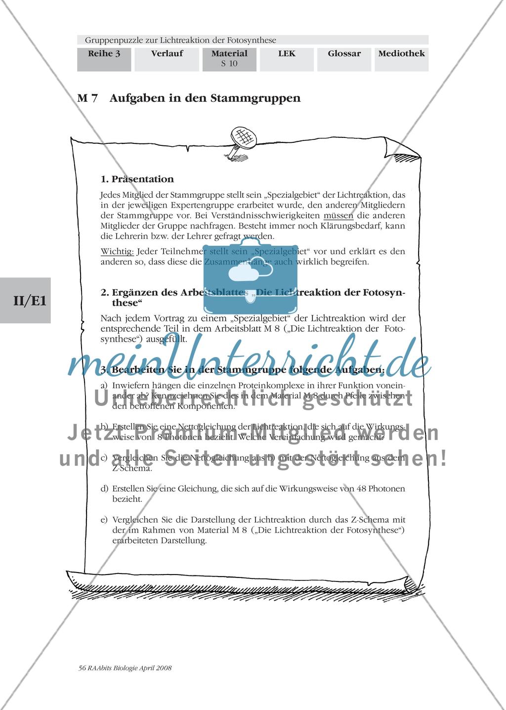 Gruppenpuzzle zur Lichtreaktion der Fotosynthese Preview 12