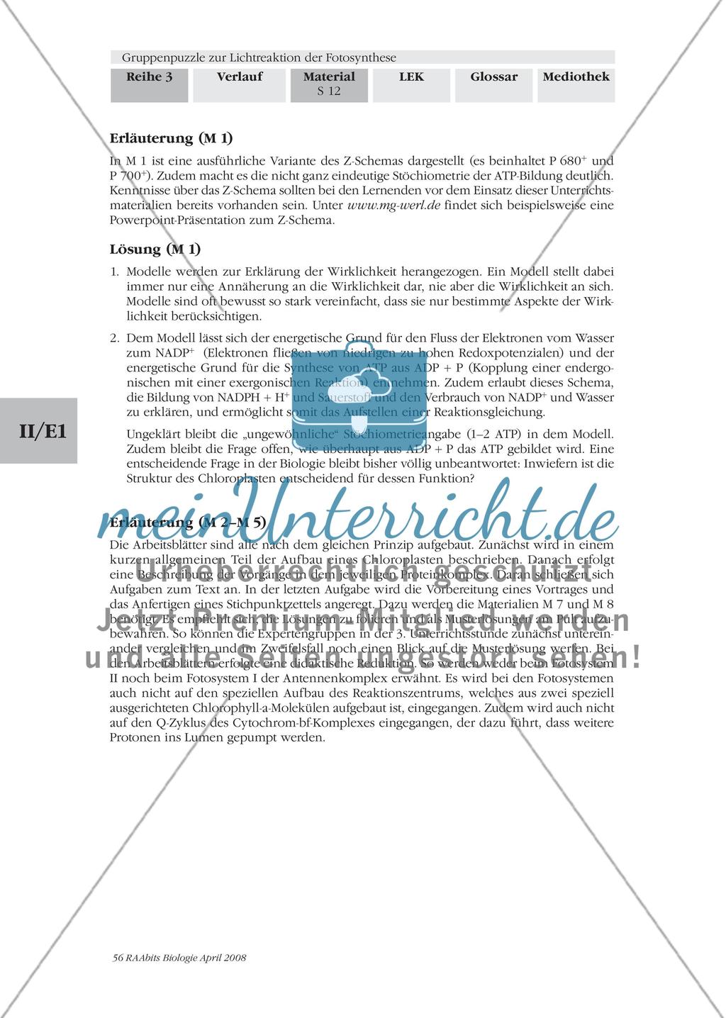 Gruppenpuzzle zur Lichtreaktion der Fotosynthese Preview 14