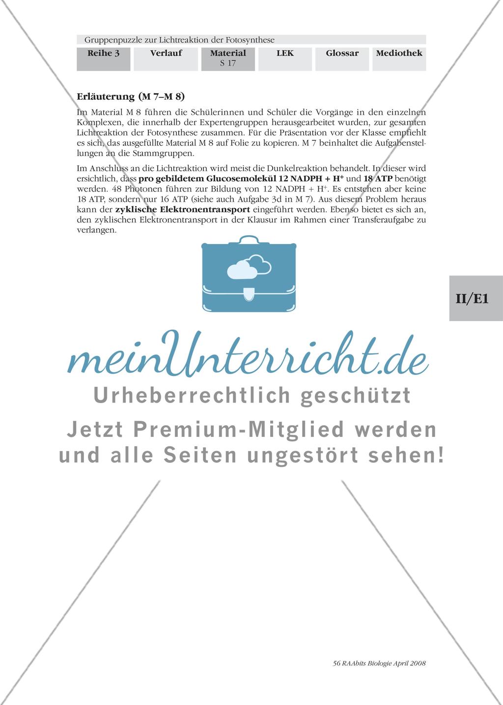 Gruppenpuzzle zur Lichtreaktion der Fotosynthese Preview 19