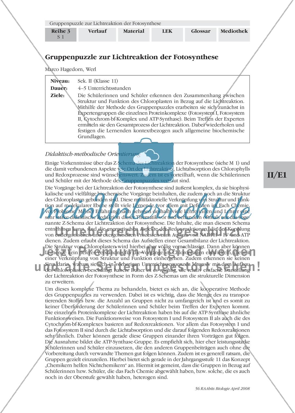 Gruppenpuzzle zur Lichtreaktion der Fotosynthese Preview 1