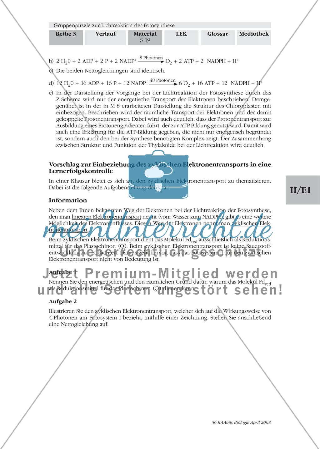Gruppenpuzzle zur Lichtreaktion der Fotosynthese Preview 21