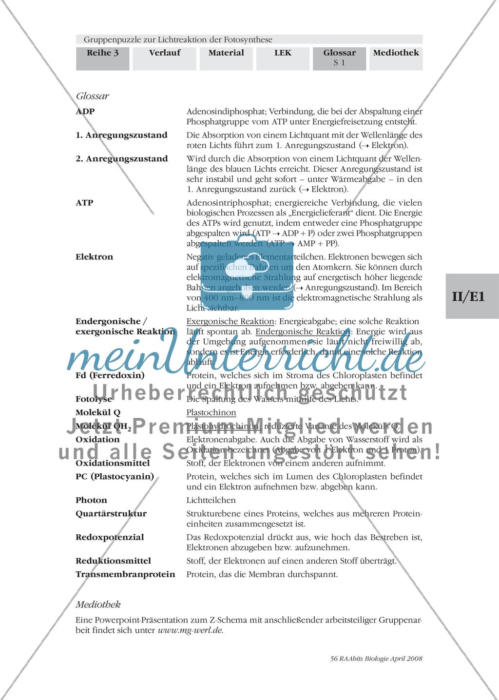 Gruppenpuzzle zur Lichtreaktion der Fotosynthese Preview 23