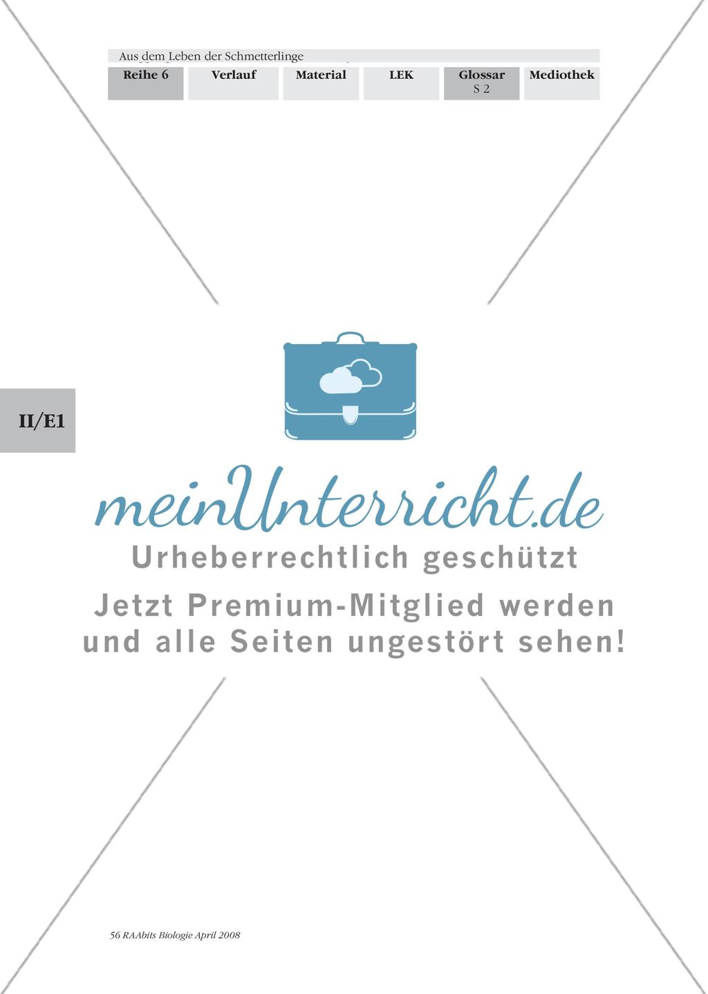 Gruppenpuzzle zur Lichtreaktion der Fotosynthese Preview 24