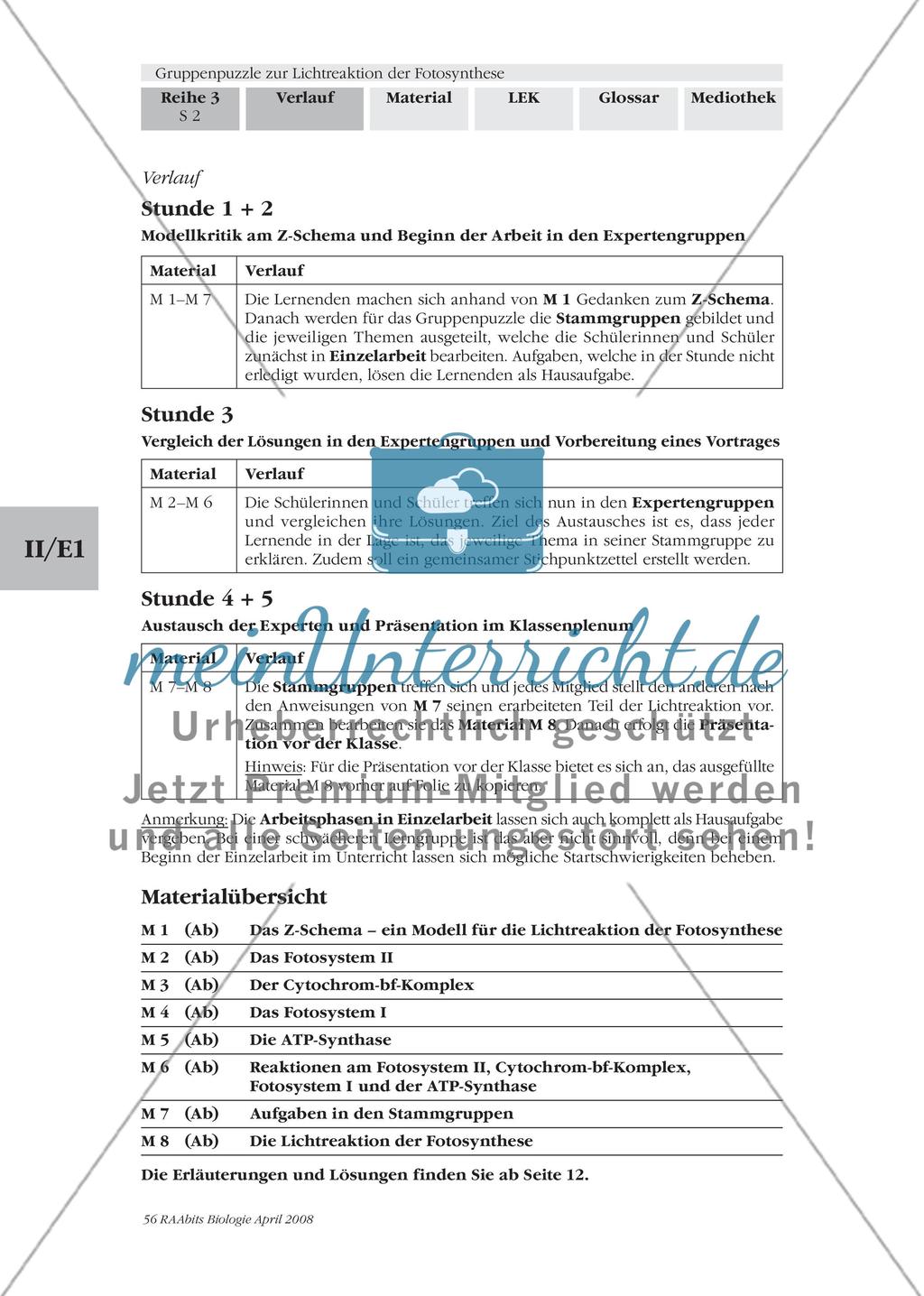 Gruppenpuzzle zur Lichtreaktion der Fotosynthese Preview 2