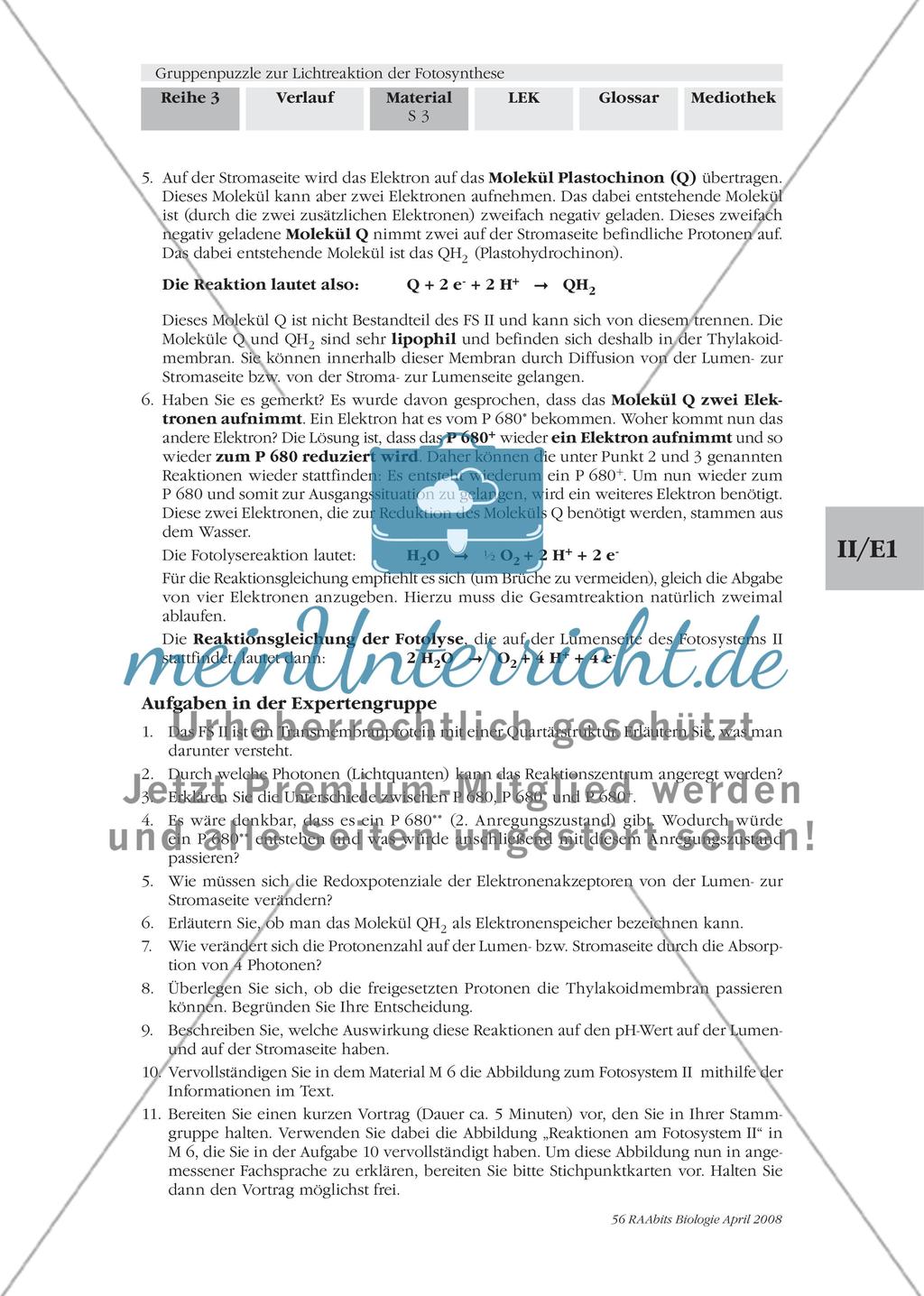 Gruppenpuzzle zur Lichtreaktion der Fotosynthese Preview 5