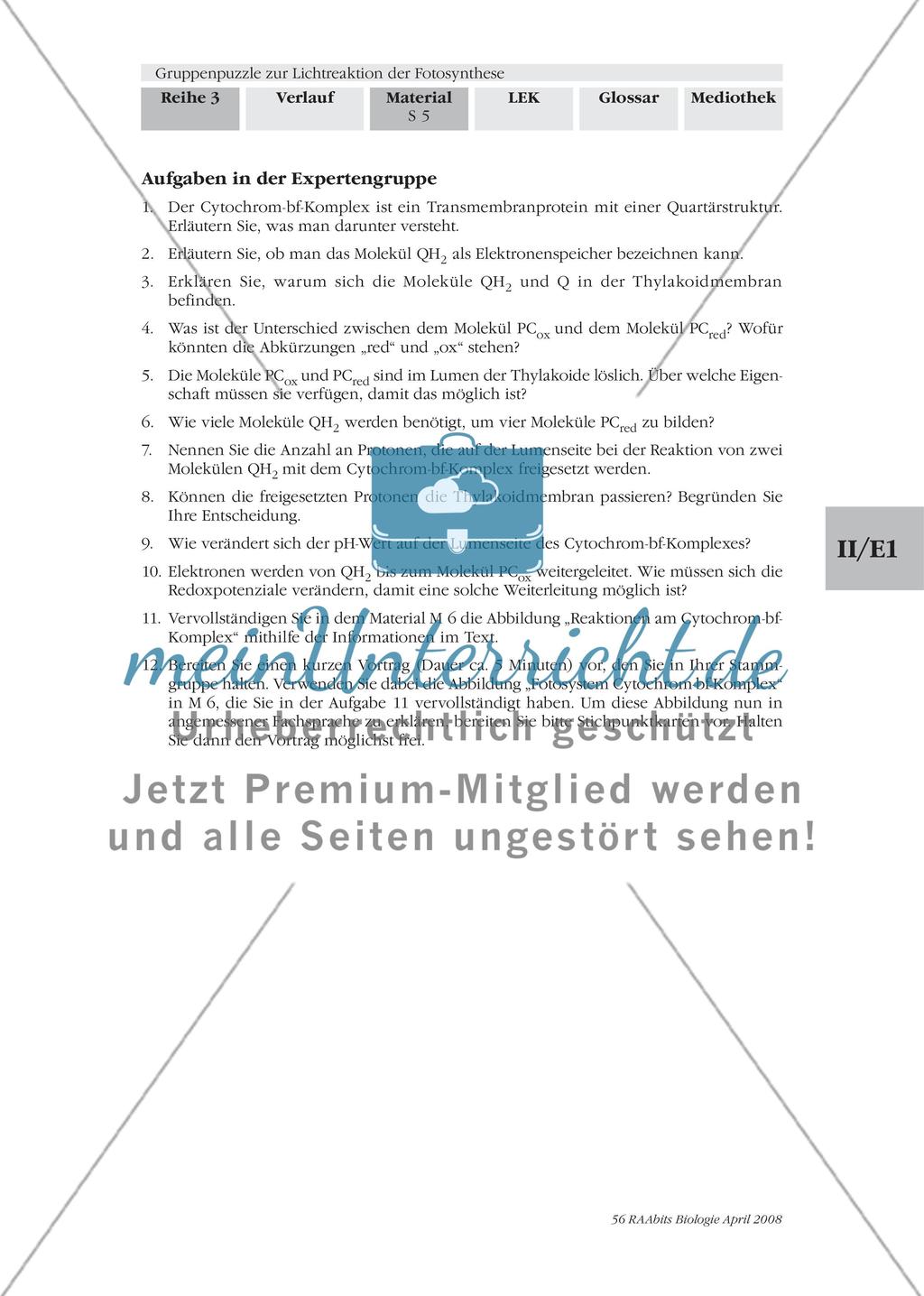 Gruppenpuzzle zur Lichtreaktion der Fotosynthese Preview 7