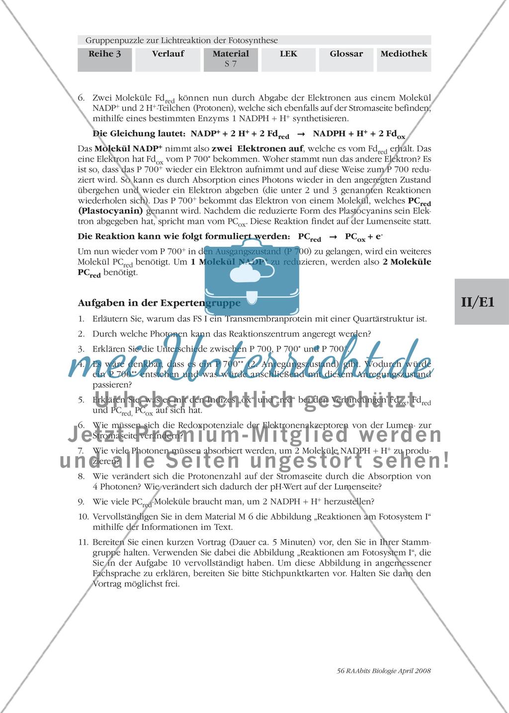 Gruppenpuzzle zur Lichtreaktion der Fotosynthese Preview 9