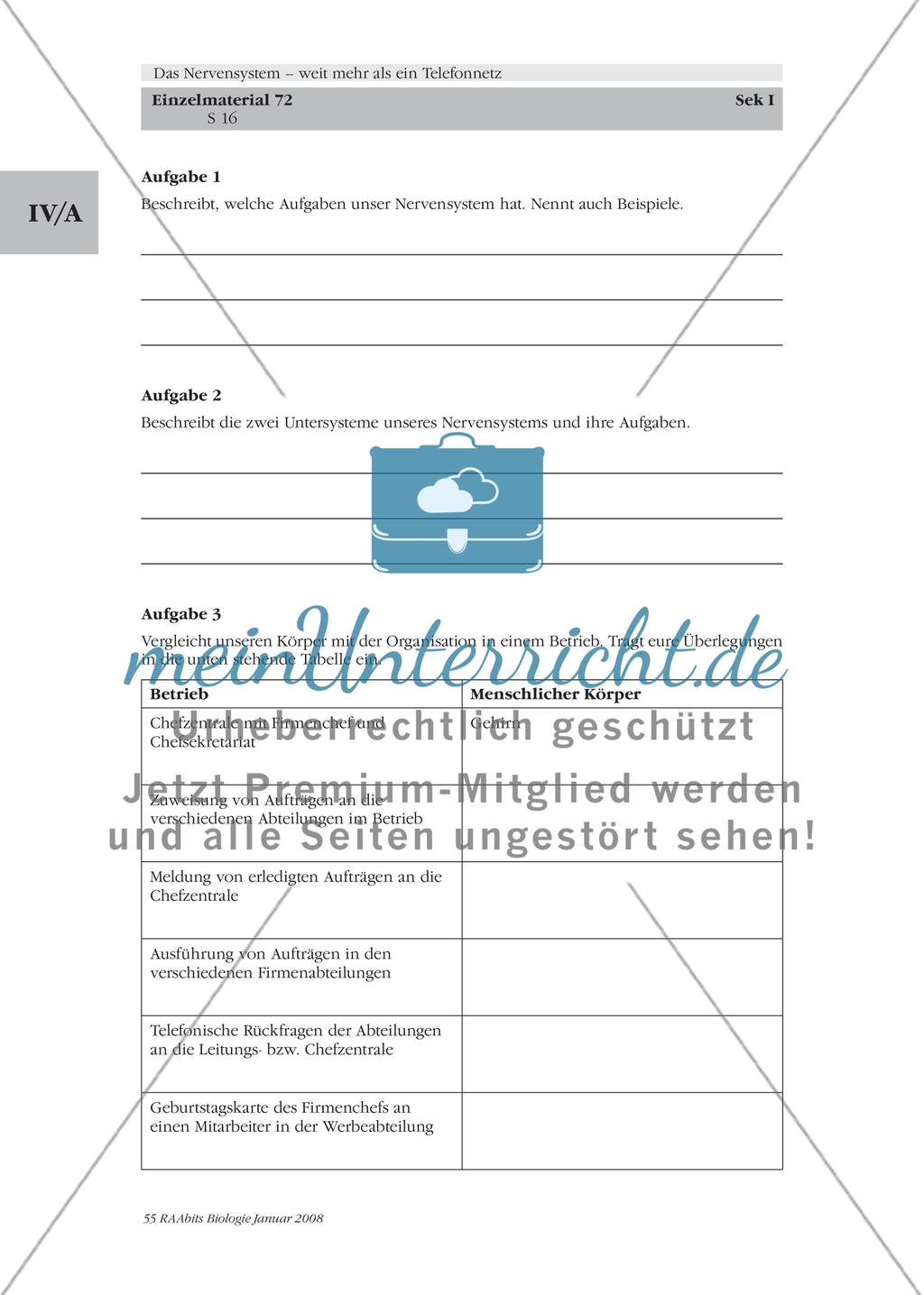 Stationenlernen, Lernzirkel, Gruppenarbeit Preview 10