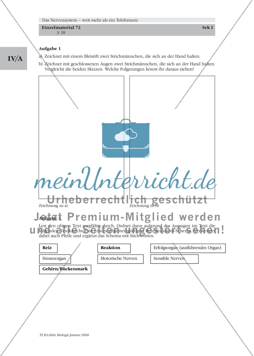 Stationenlernen, Lernzirkel, Gruppenarbeit Preview 12