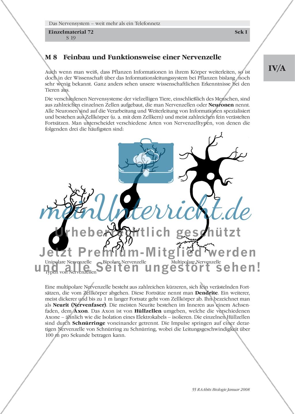 Stationenlernen, Lernzirkel, Gruppenarbeit Preview 13