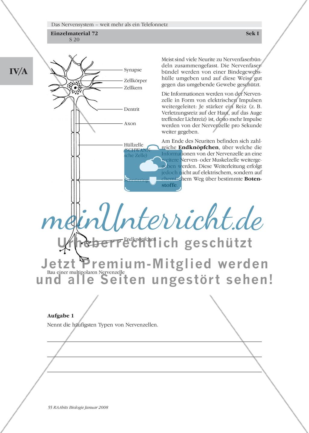 Stationenlernen, Lernzirkel, Gruppenarbeit Preview 14