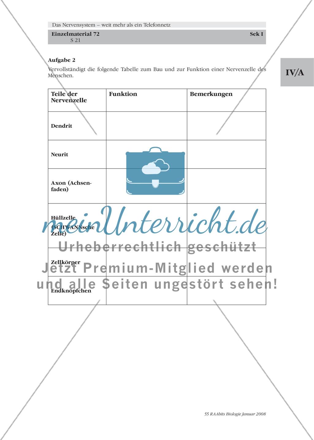 Stationenlernen, Lernzirkel, Gruppenarbeit Preview 15