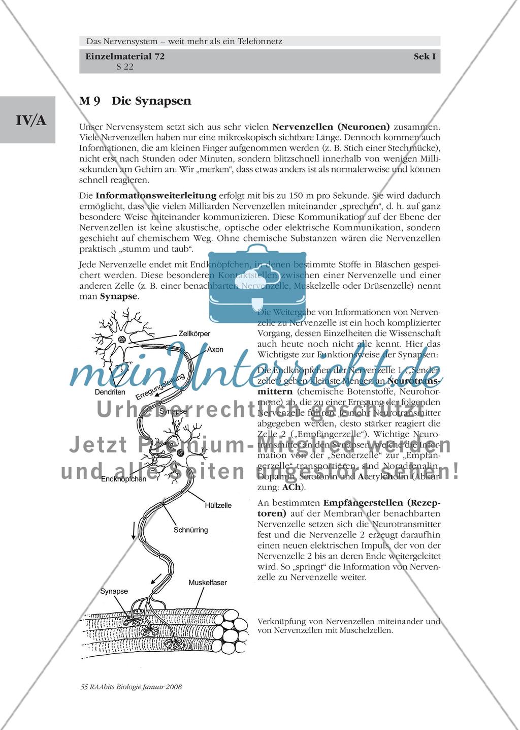 Stationenlernen, Lernzirkel, Gruppenarbeit Preview 16