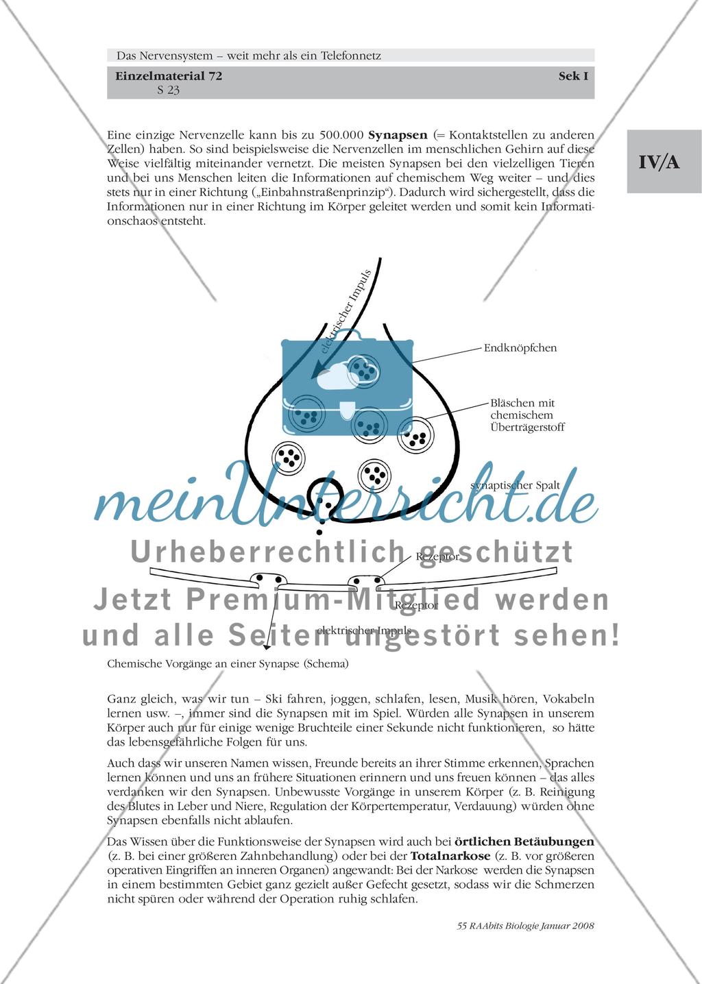 Stationenlernen, Lernzirkel, Gruppenarbeit Preview 17