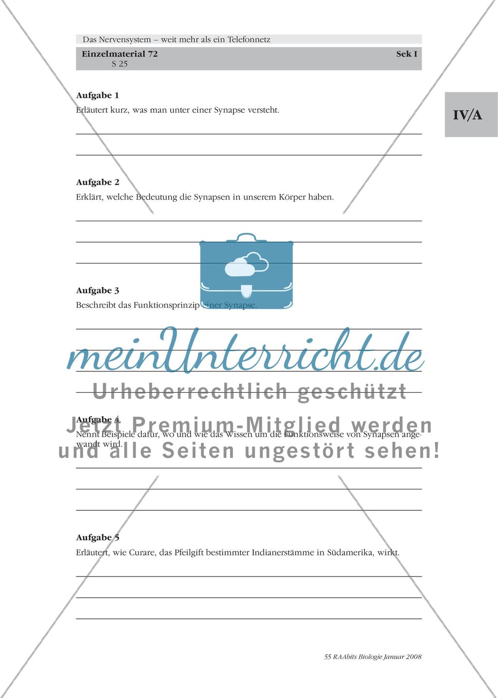 Stationenlernen, Lernzirkel, Gruppenarbeit Preview 19