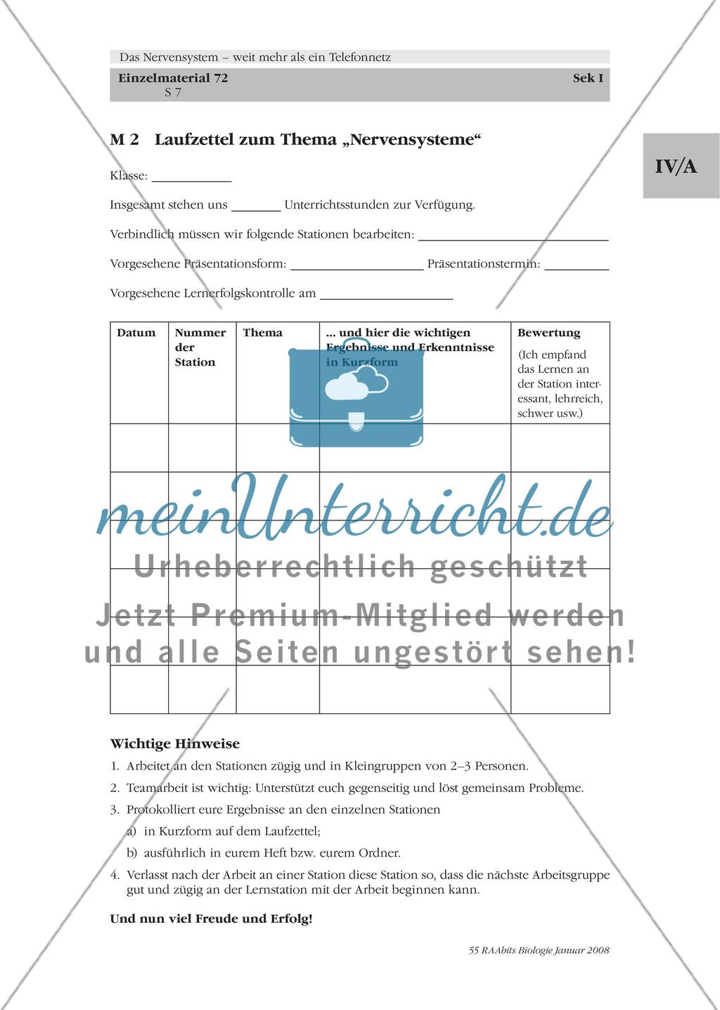Stationenlernen, Lernzirkel, Gruppenarbeit Preview 1