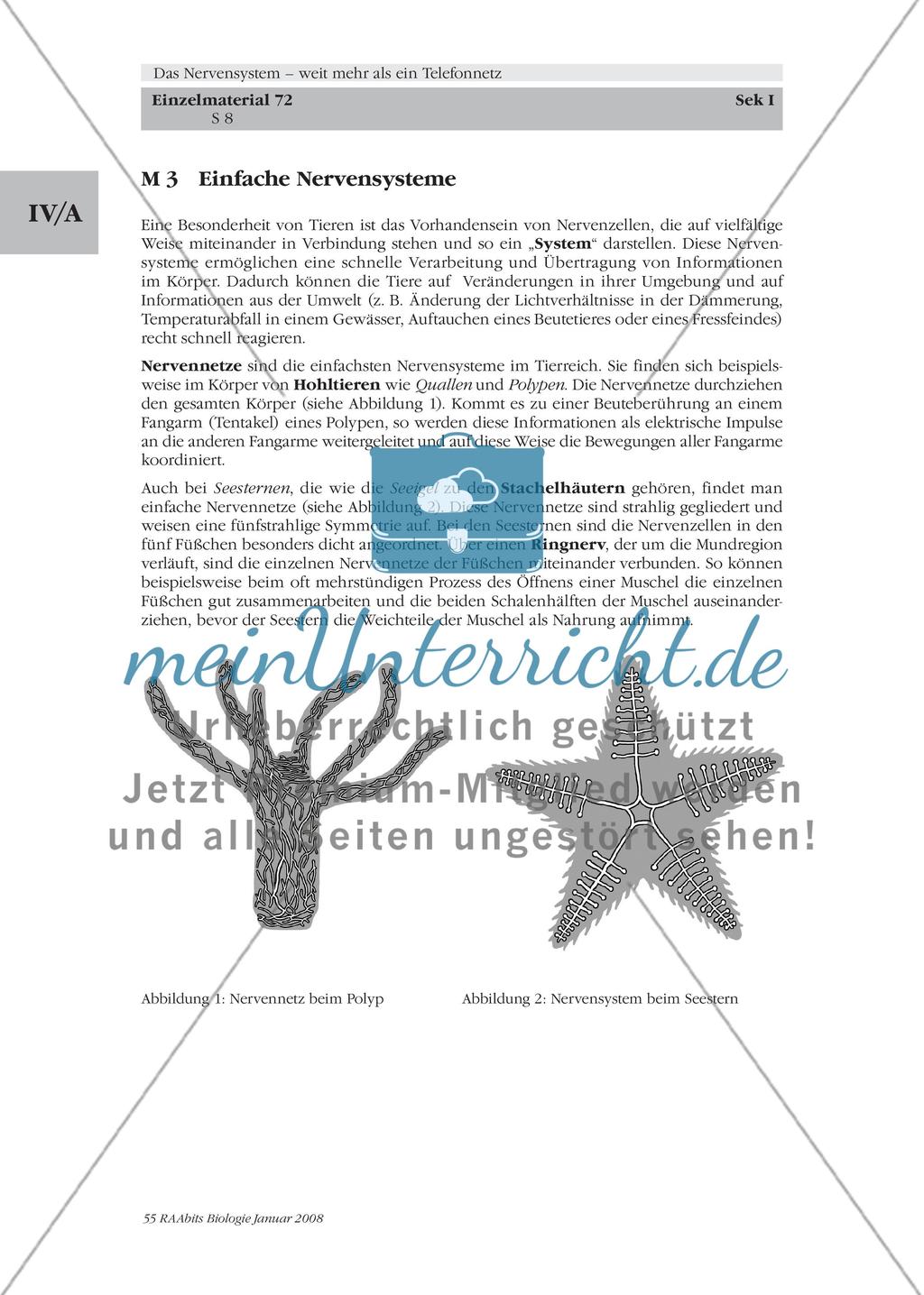 Stationenlernen, Lernzirkel, Gruppenarbeit Preview 2