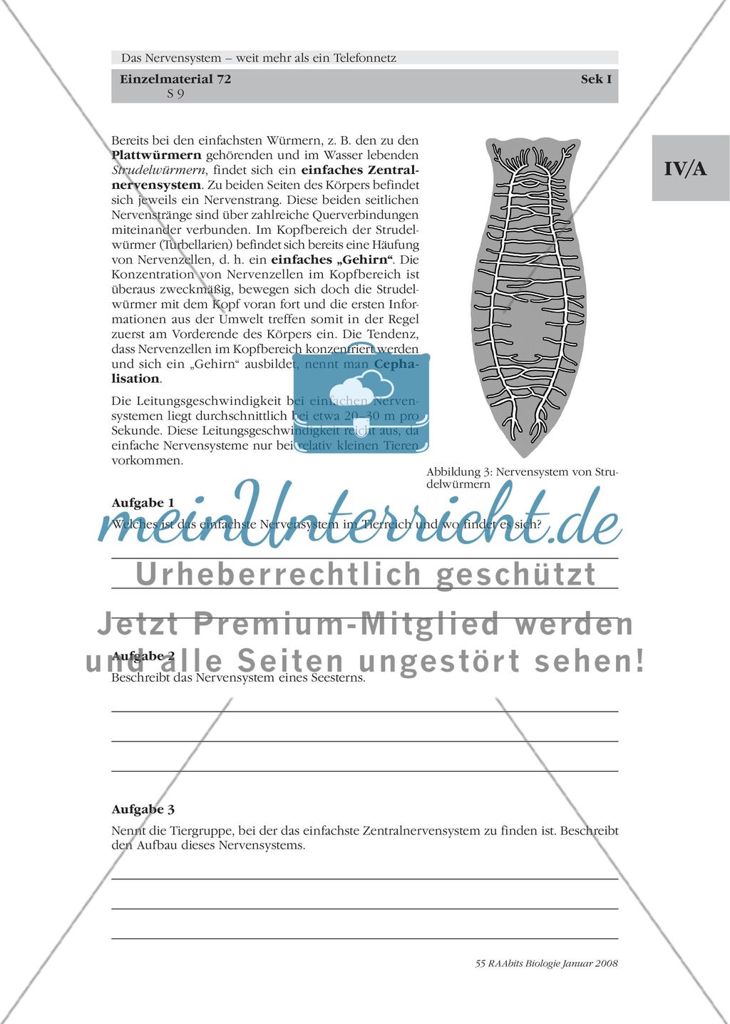 Stationenlernen, Lernzirkel, Gruppenarbeit Preview 3
