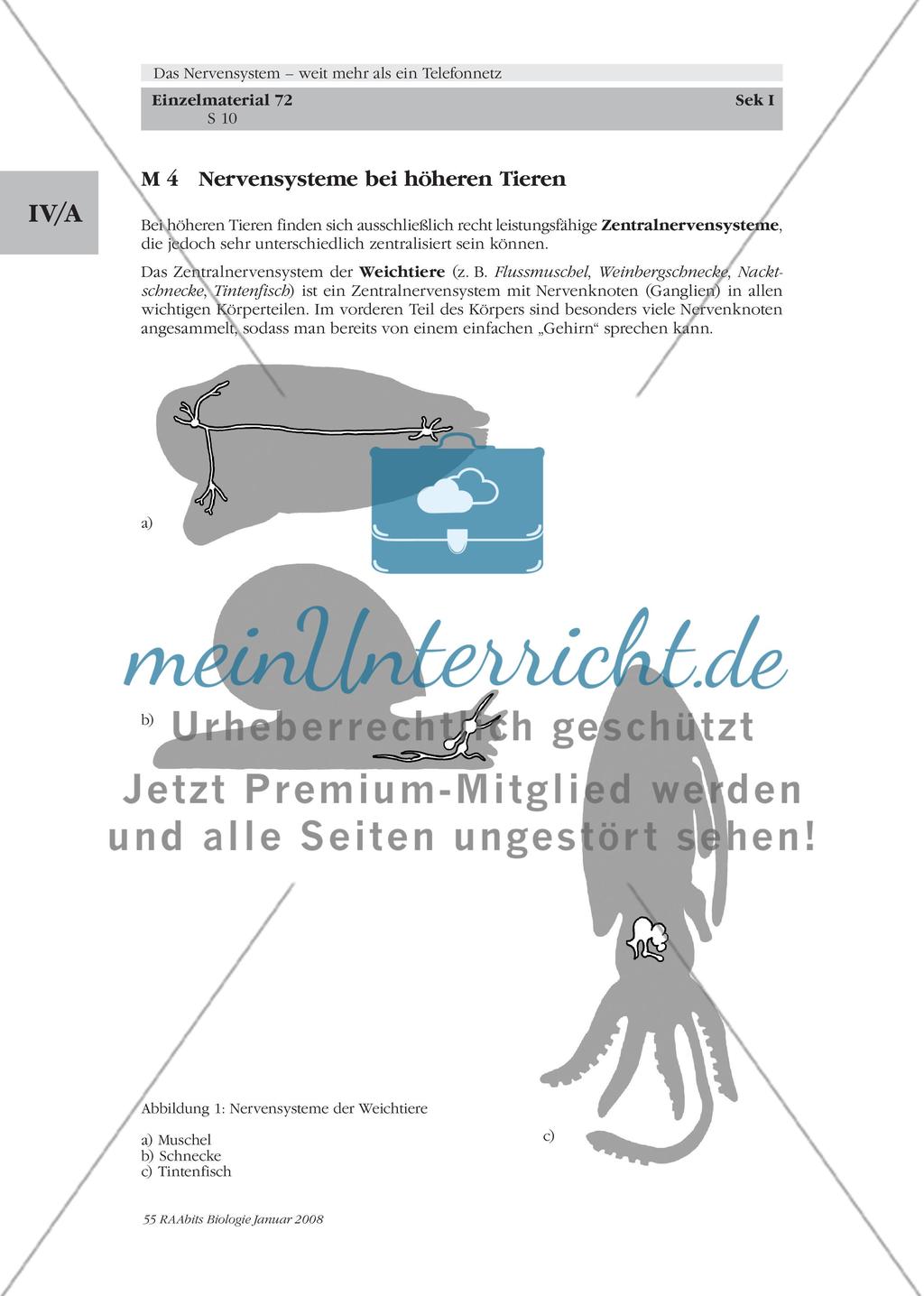 Stationenlernen, Lernzirkel, Gruppenarbeit Preview 4