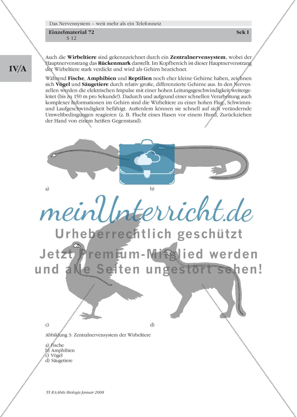 Stationenlernen, Lernzirkel, Gruppenarbeit Preview 6