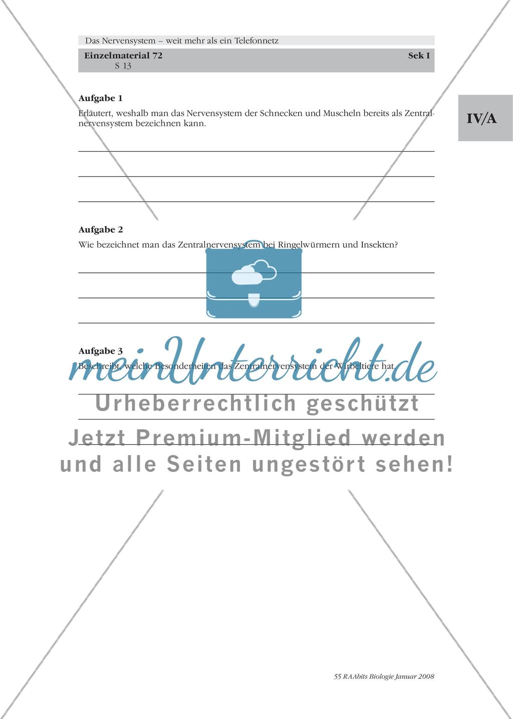 Stationenlernen, Lernzirkel, Gruppenarbeit Preview 7