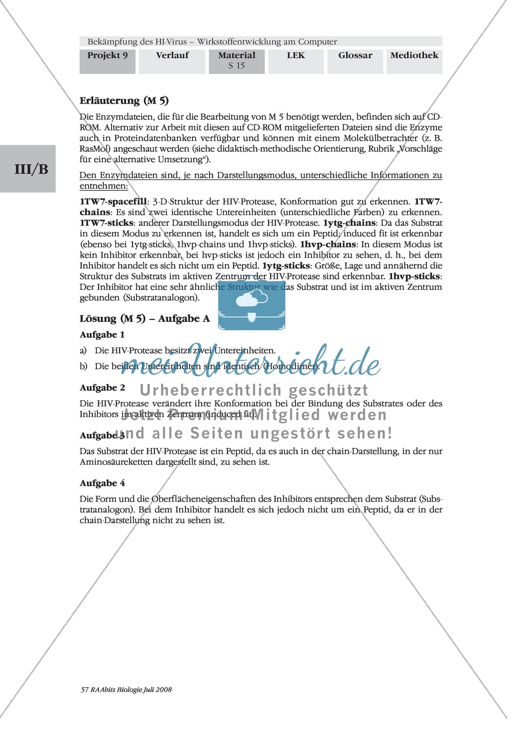 Einen kompetitiven HIV-Protease-Inhibitor durch Rationale Wirkstoffentwicklung in Expertenteams entwickeln Preview 11