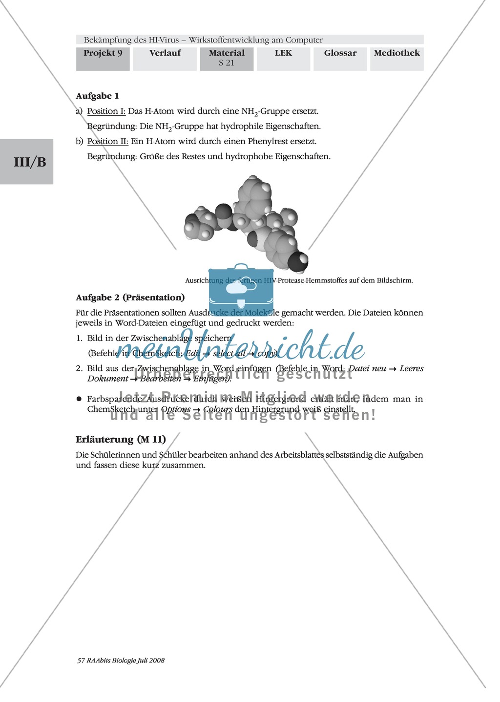 Einen kompetitiven HIV-Protease-Inhibitor durch Rationale Wirkstoffentwicklung in Expertenteams entwickeln Preview 17