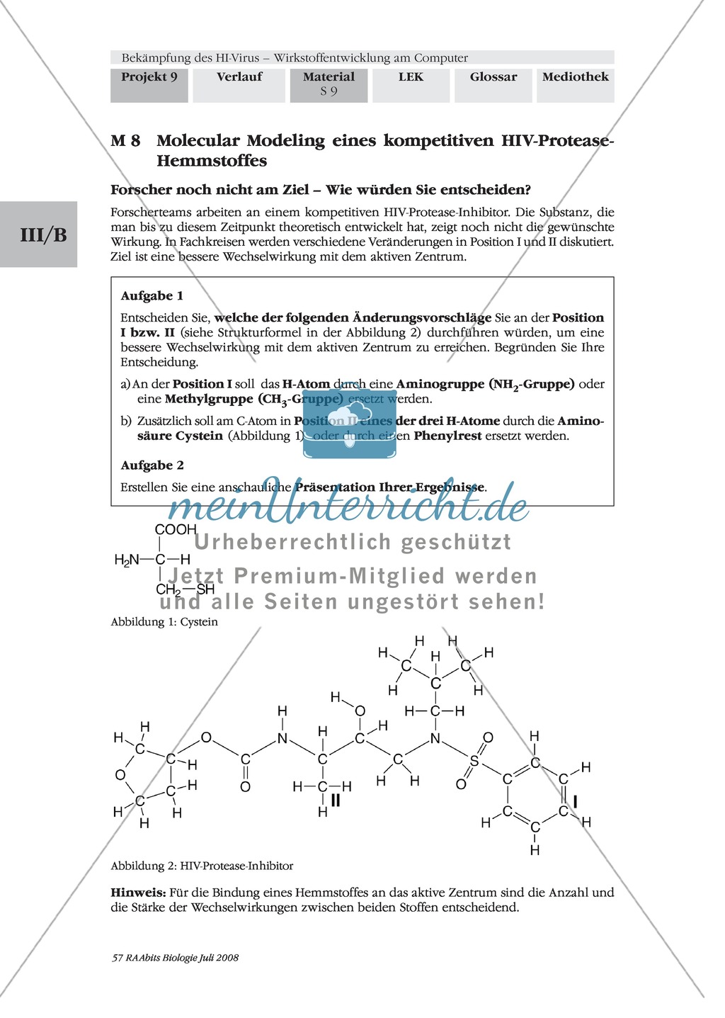 Einen kompetitiven HIV-Protease-Inhibitor durch Rationale Wirkstoffentwicklung in Expertenteams entwickeln Preview 5