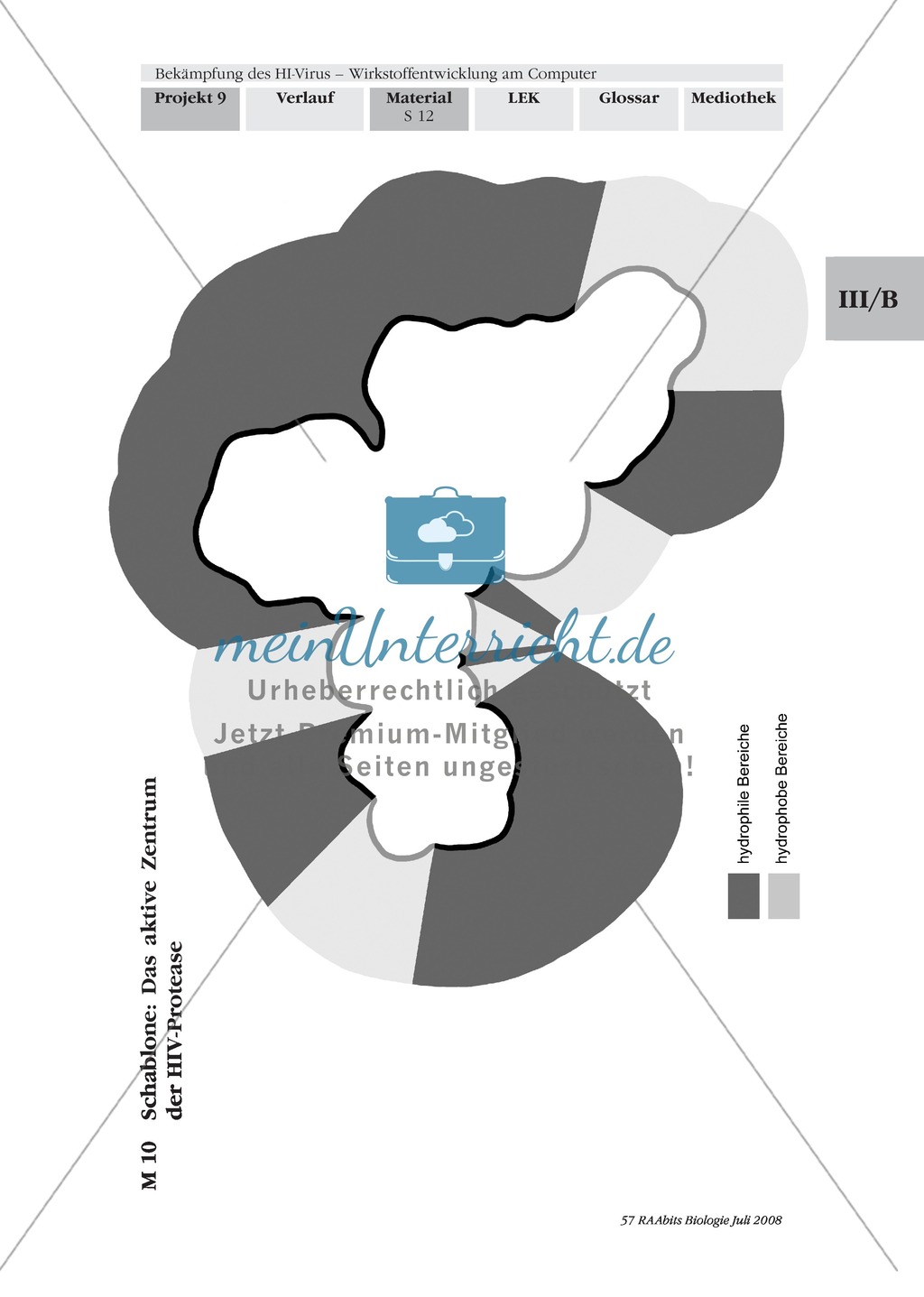 Einen kompetitiven HIV-Protease-Inhibitor durch Rationale Wirkstoffentwicklung in Expertenteams entwickeln Preview 8