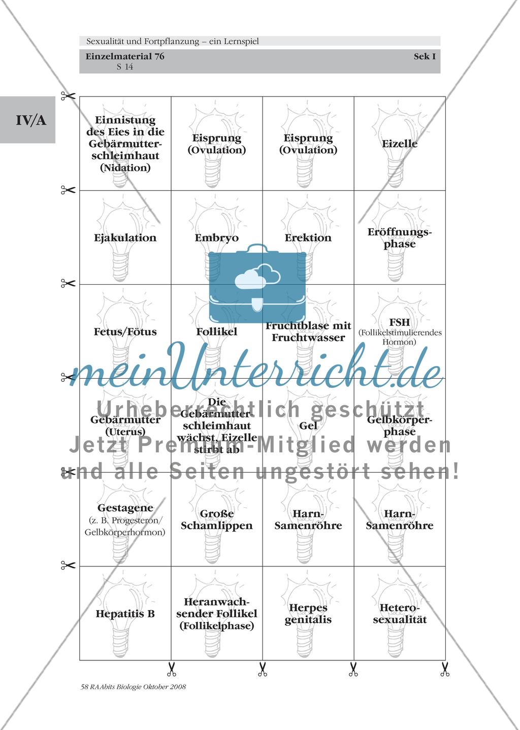 Sexualität und Fortpflanzung – ein Lernspiel Preview 14