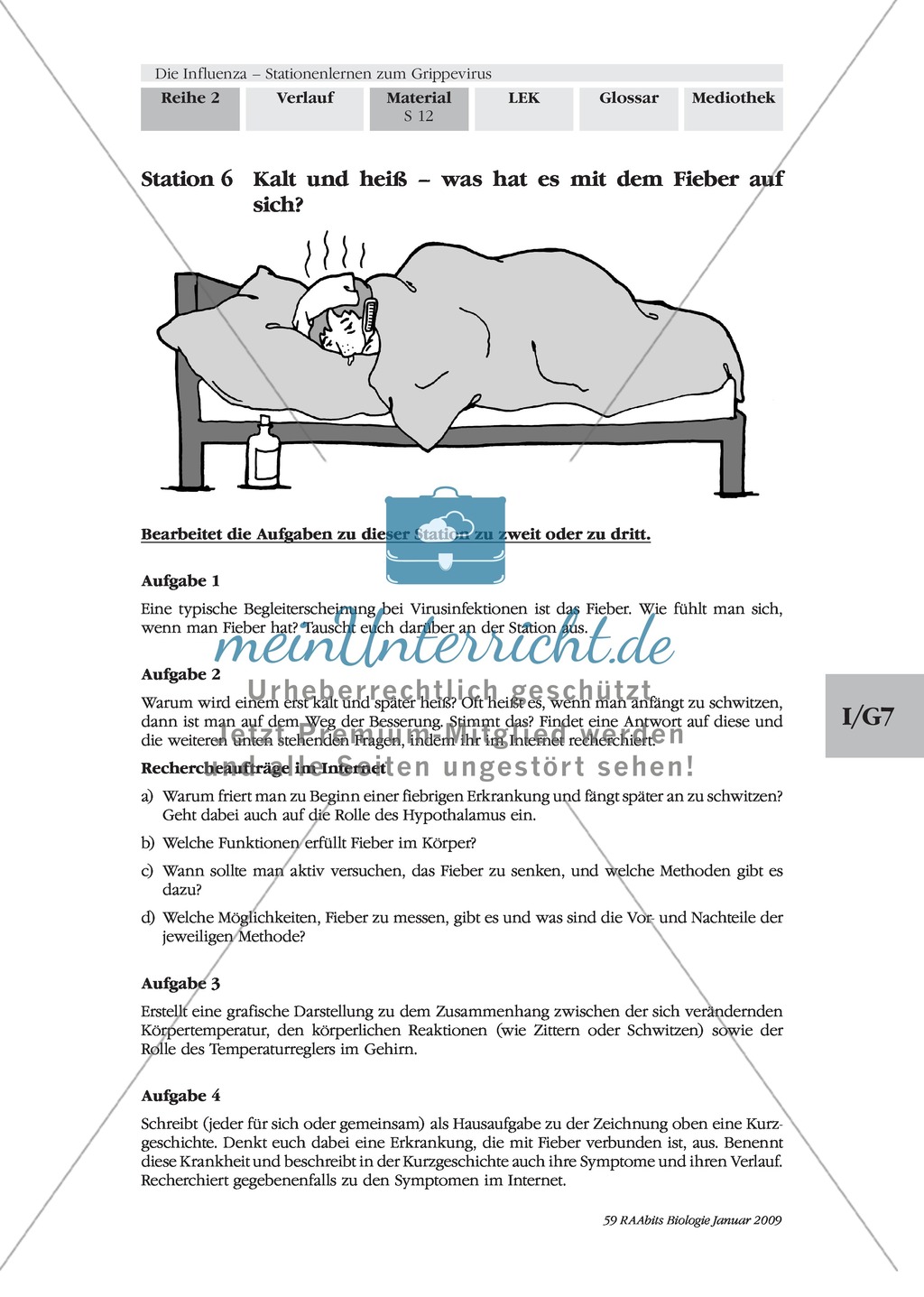 Stationsarbeit zum Thema Influenza mit Themen zur Vogelgrippe, Viren und Fieber Preview 11