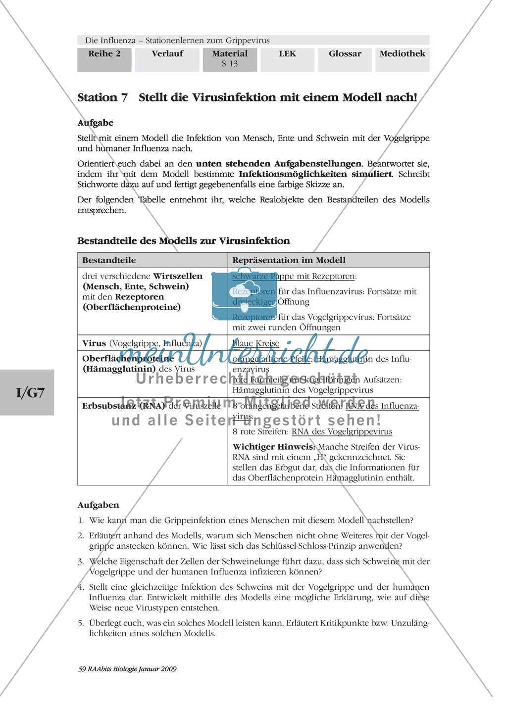 Stationsarbeit zum Thema Influenza mit Themen zur Vogelgrippe, Viren und Fieber Preview 12